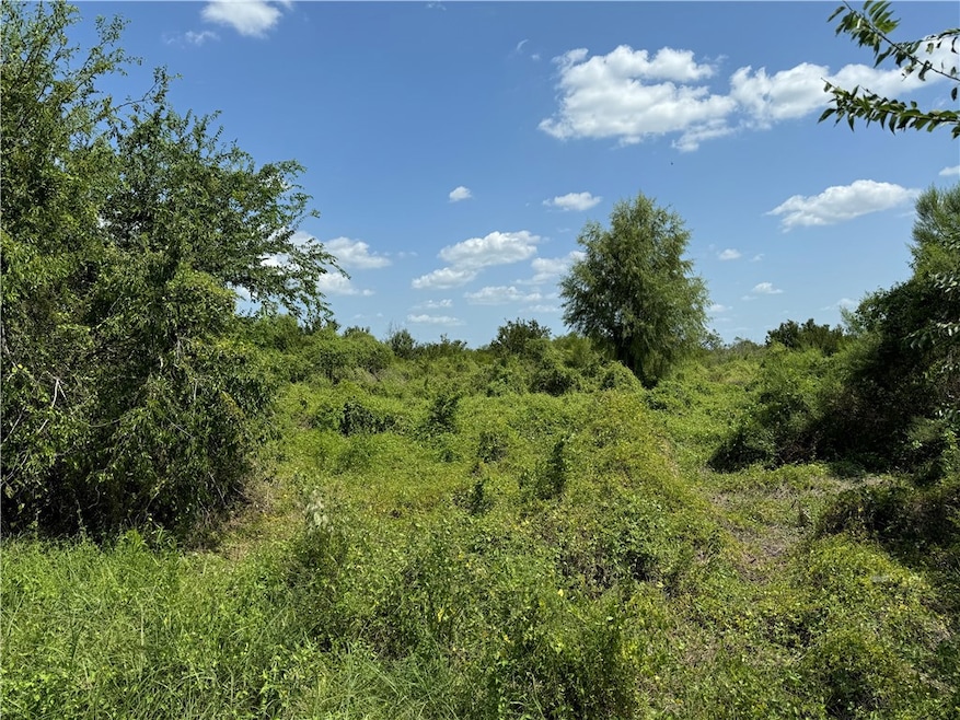 000 Deer Run Trace, Three Rivers, TX 78071 - photo 1