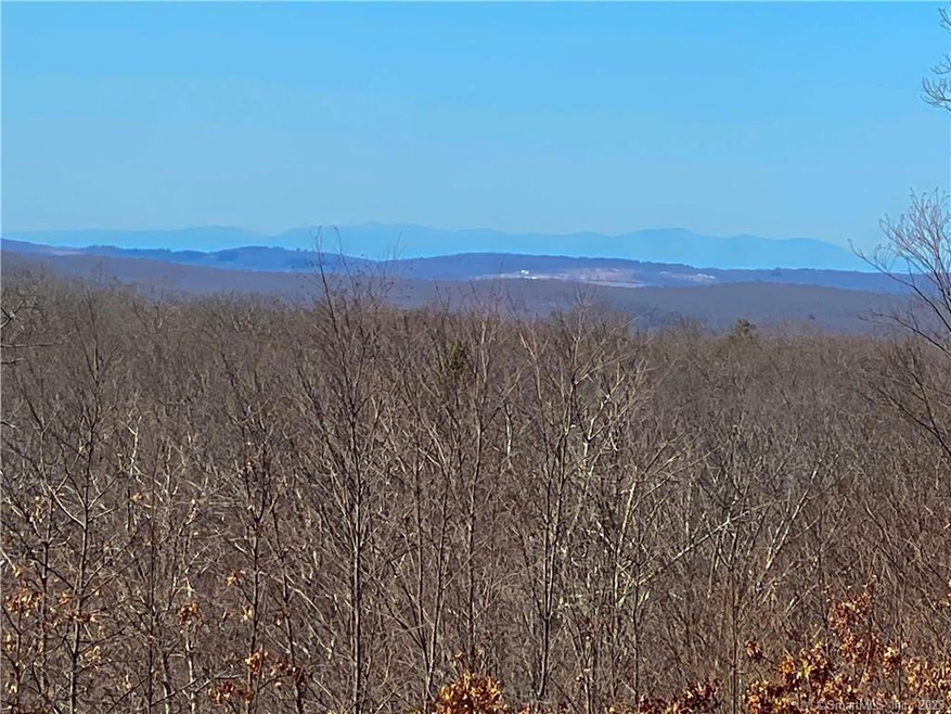 4 & 5 Mount Mauwee Rd, Kent, CT 06757 - photo 1