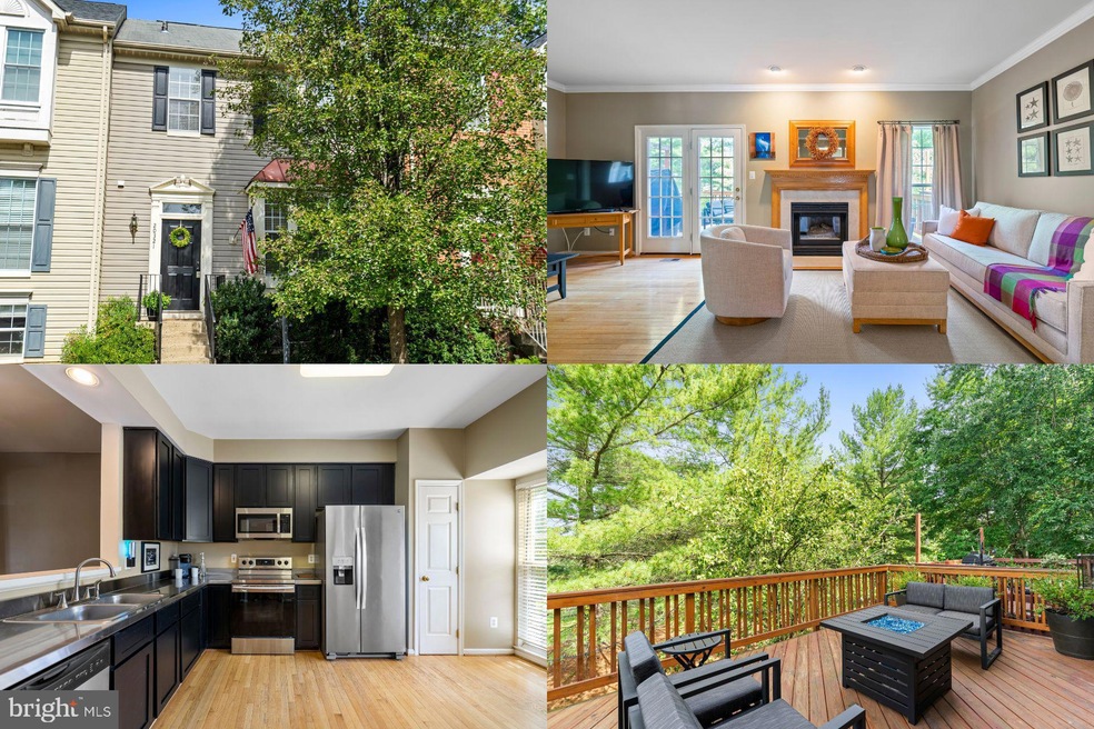 20321 Briarcliff Terrace, Sterling, VA 20165 - photo 1