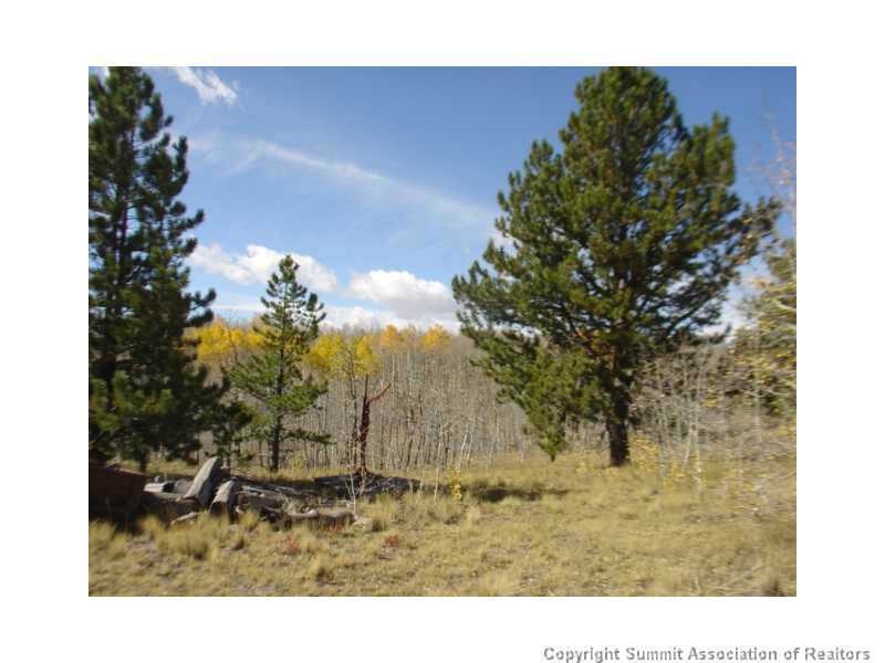 3676 Buffalo Ridge Rd, Como, CO 80432 - photo 1