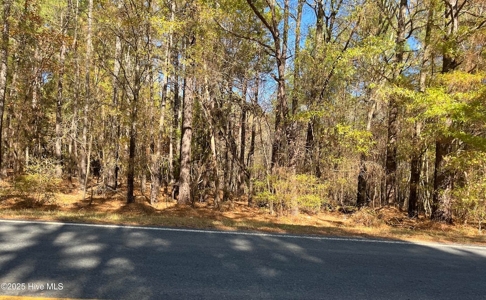 1646 Morgan Sellers Rd, Wadesboro, NC 28170 - photo 1