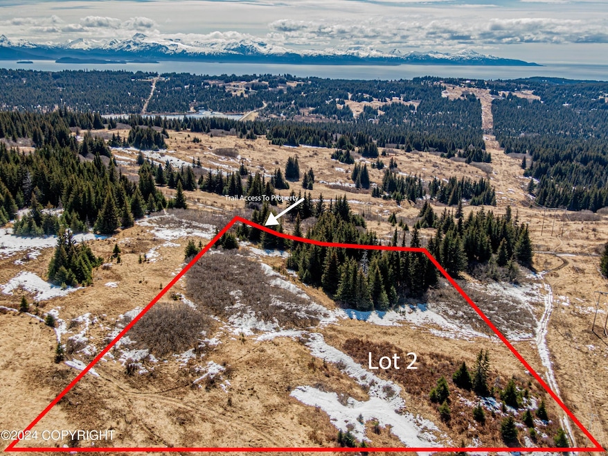 L2 Salin's Spur Rd, Homer, AK 99603 - photo 1