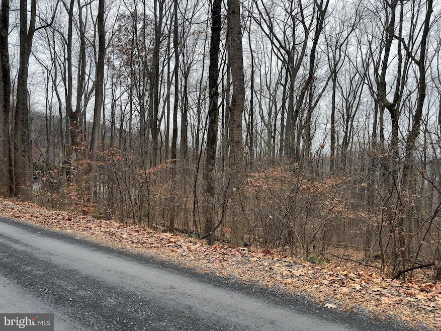L12 Apple Mountain Lake S, Linden, VA 22642 - photo 1