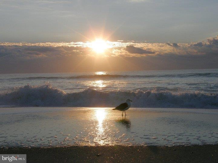 1916 Long Beach Blvd, Ship Bottom, NJ 08008 - photo 1