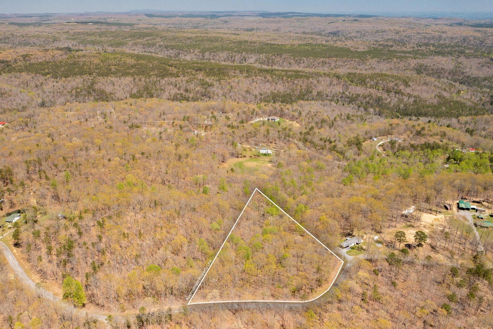 1-web-or-mls-DJI_0990-79 copy