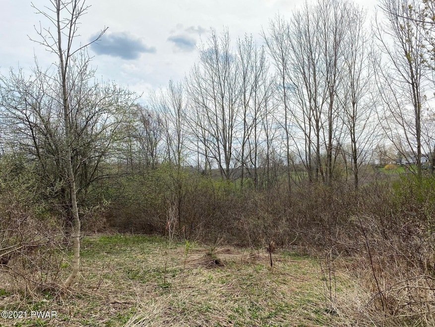 6 Pitcavage Ct, Cobbs Lake Preserve, PA 18436 - photo 1