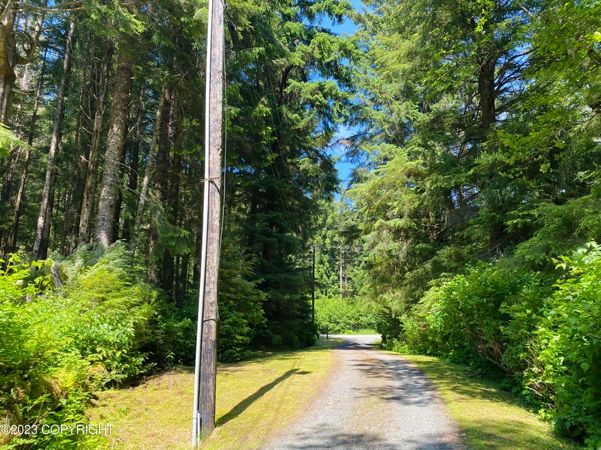 Driveway (Home to Road)