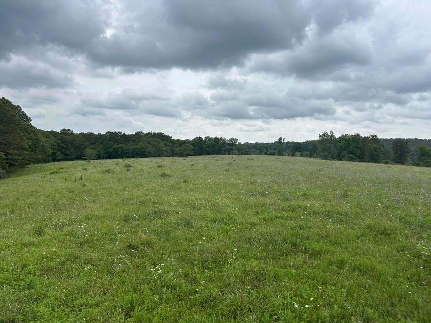 Field
