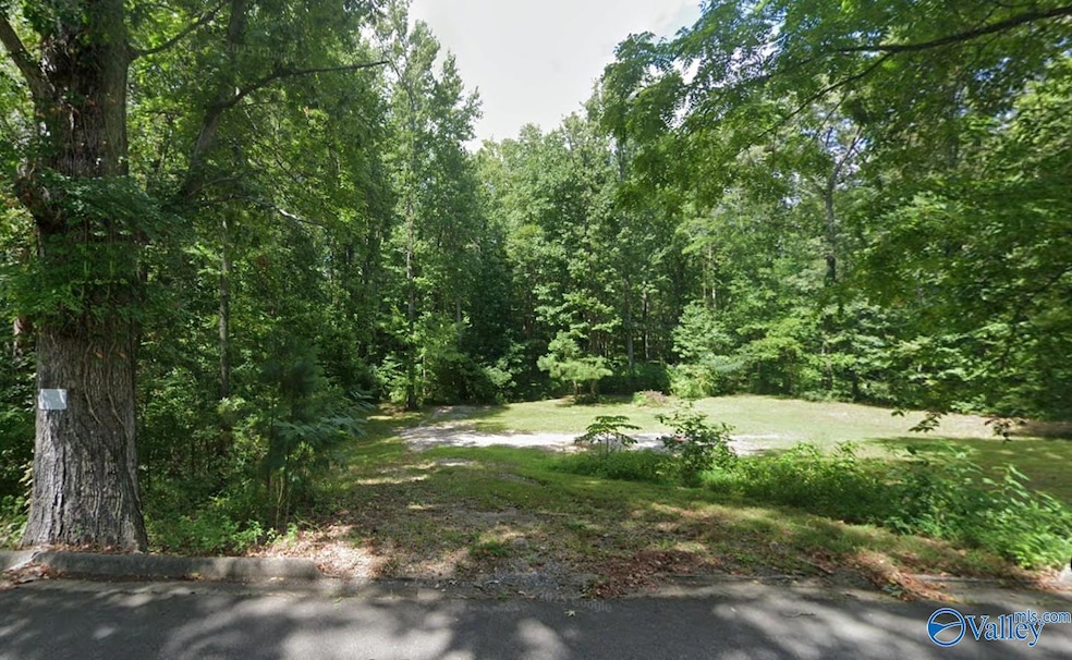 1.14 acre Lynns Dam Rd, Union Grove, AL 35175 - photo 1
