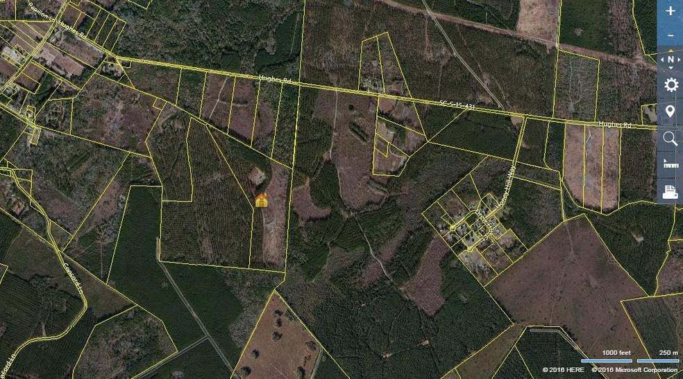 Satellite View