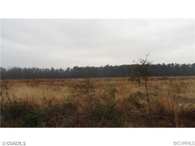 12.67 acres Butler Branch Rd, Dinwiddie, VA 23805 - photo 1