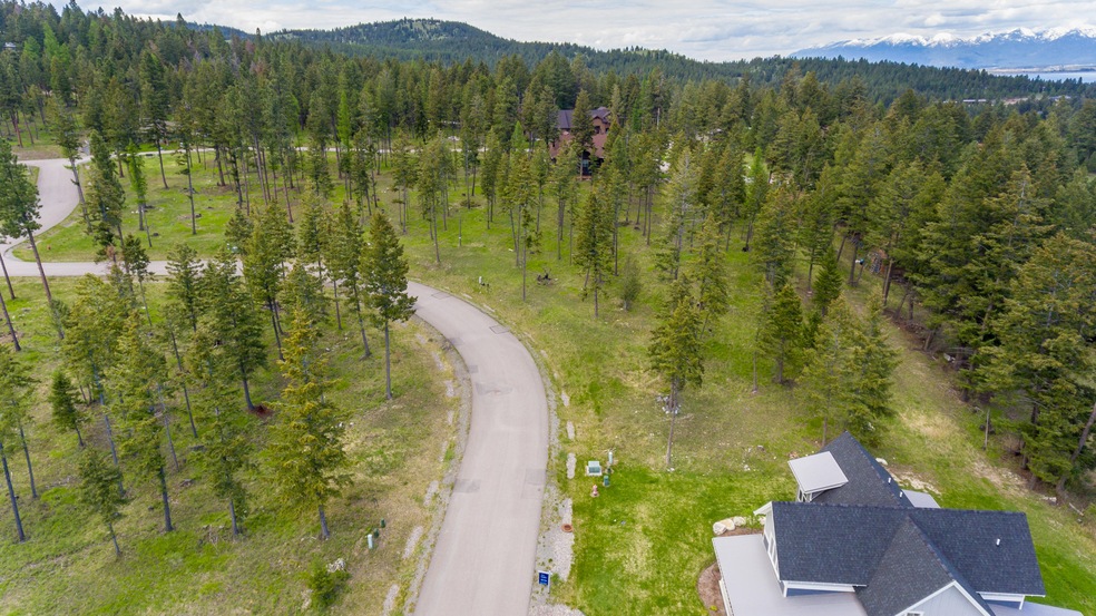 8 - Aerial