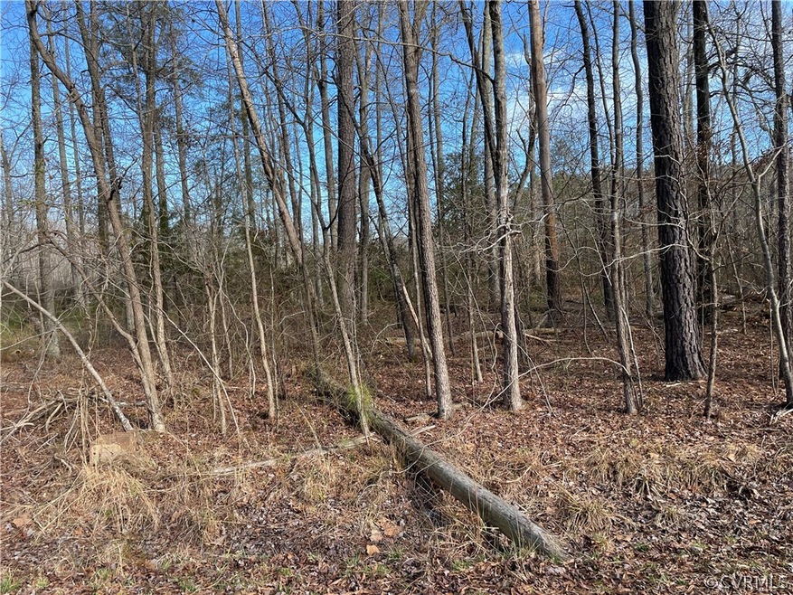 Lot 168 Country Club Ln, Caroline, VA 22546 - photo 1