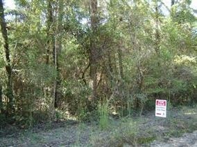 0 Mohican Trail unit 1 246264, Crawfordville, FL 32327 - photo 1
