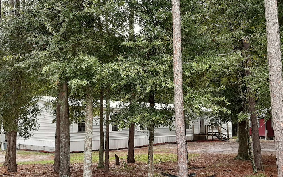 25416 63rd Place, O Brien, FL 32071 - photo 1