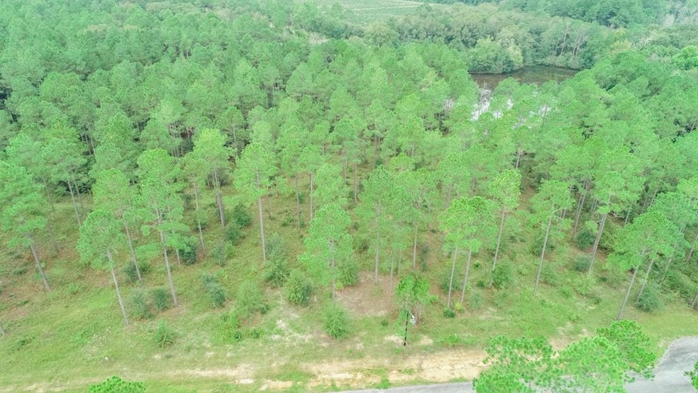 LOT 32 Merganser Ln, Moultrie, GA 31768 - photo 1