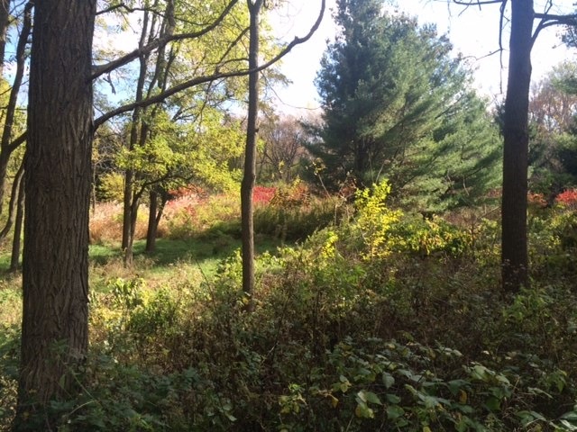 L1-2 Rome Corners Rd, Oregon, WI 53521 - photo 1