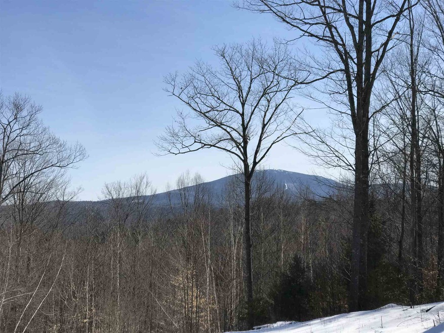 00 Wilmot Center Rd, Elkins, NH 03233 - photo 1