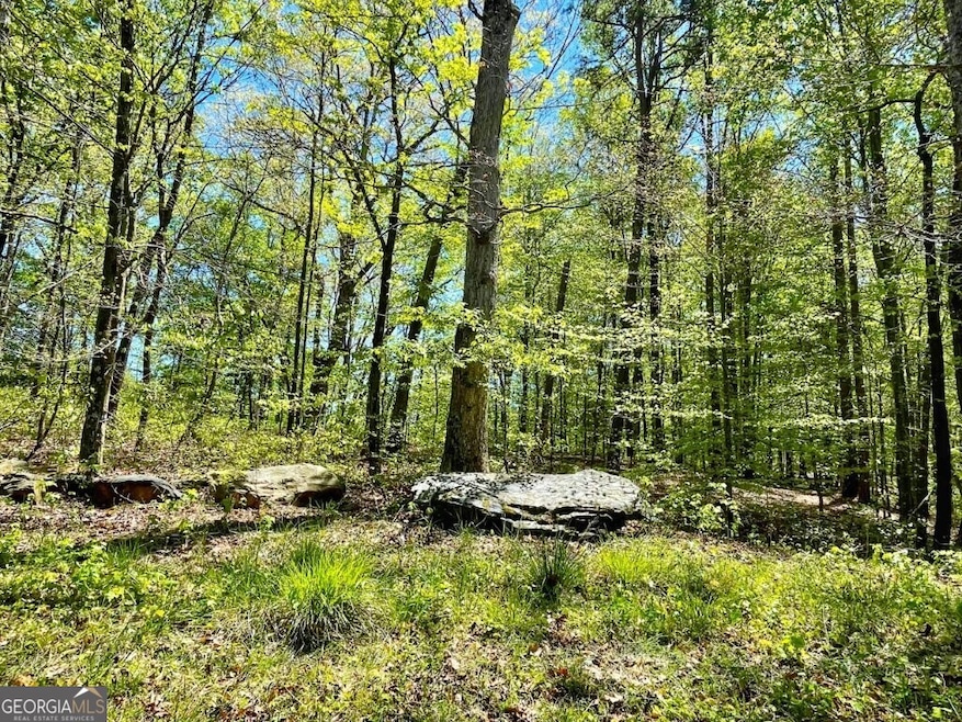 5808 Hensley Rd, Lula, GA 30554 - photo 1