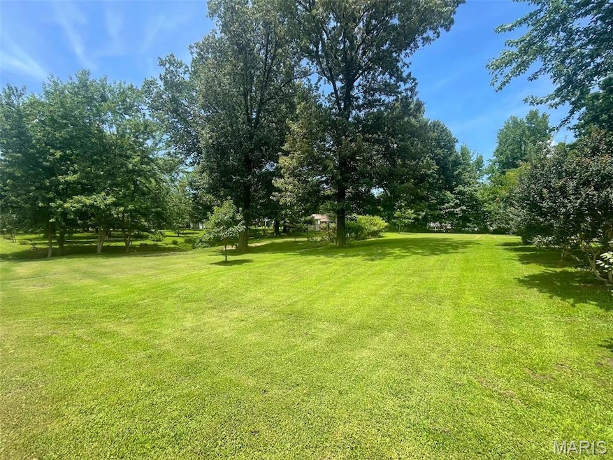 View of grassy yard featuring view of scattered trees