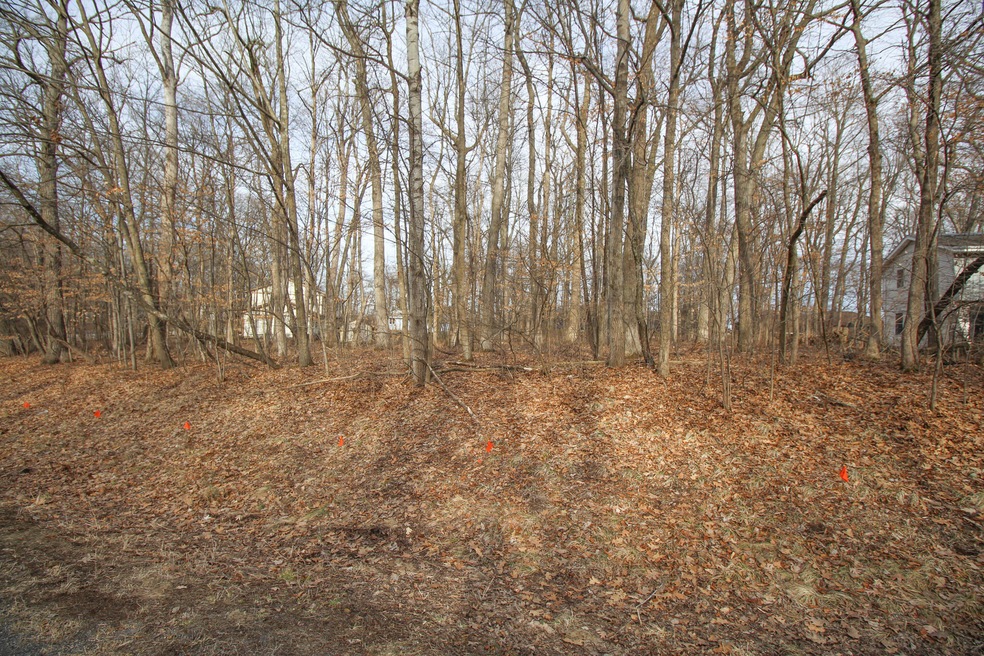 Wooded Lot