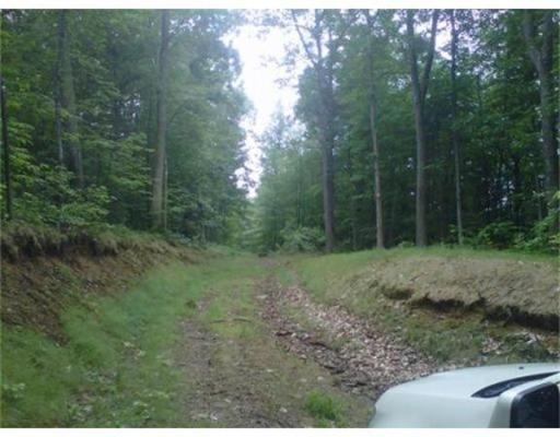 Lot B Munn Rd, Monson, MA 01057 - photo 1