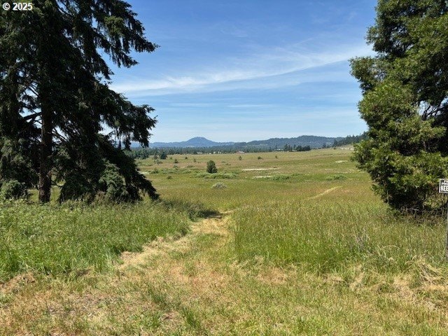 Pending $499,000 • Co-Listing Agent