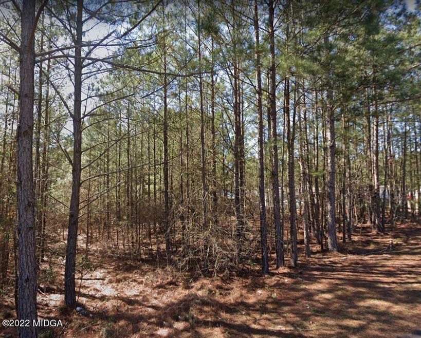 130 Theresa Cir, Macon, GA 31217 - photo 1