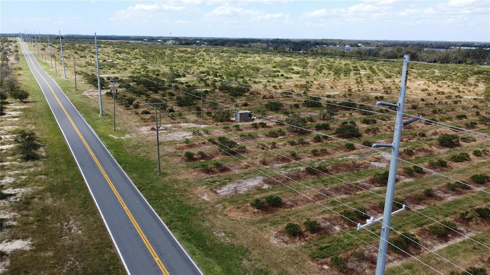 3200 Power Line Rd, Avon Park, FL 33825 - photo 1