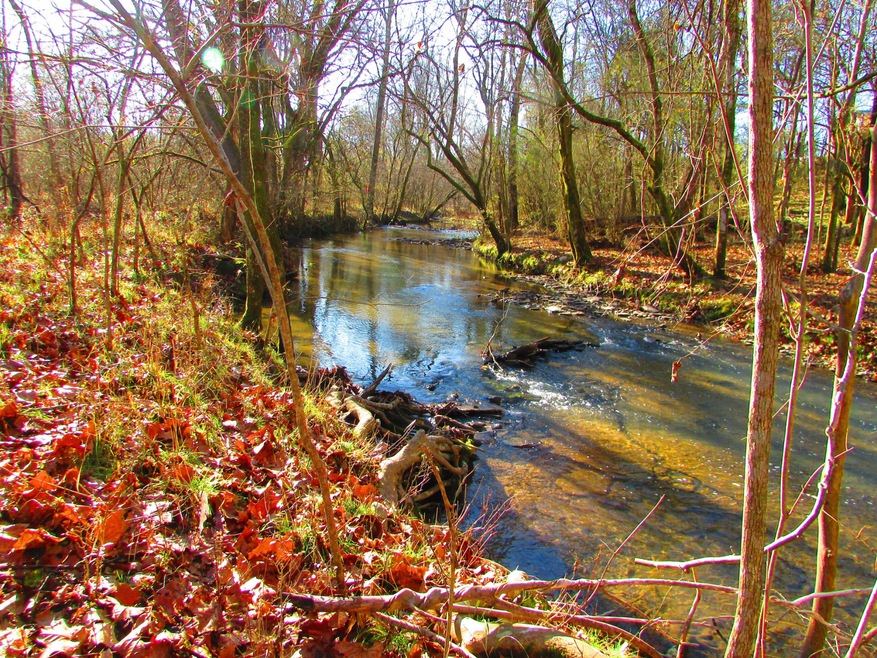 0 Mapleash Ave unit RTC2226655, Columbia, TN 38401 - photo 1