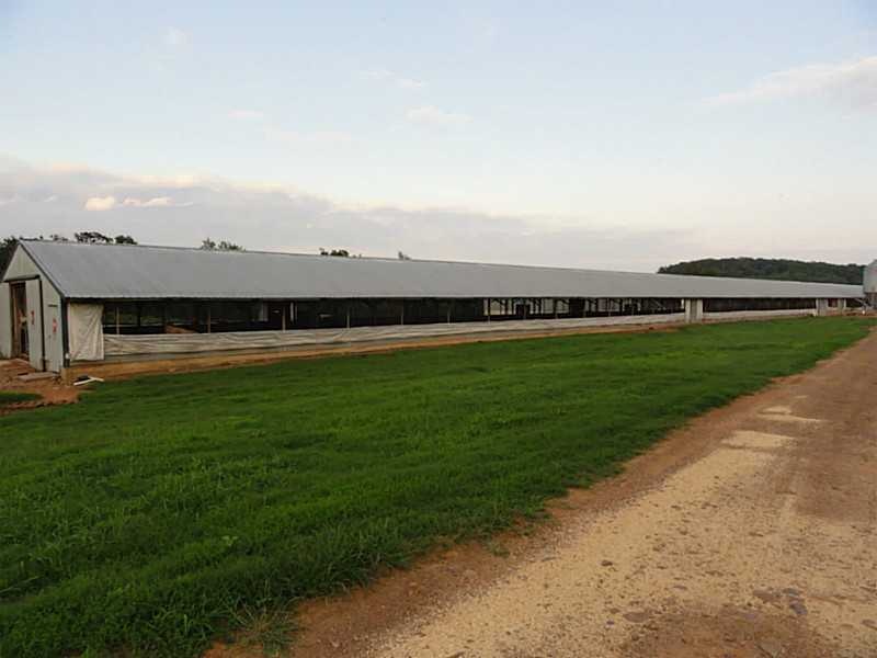 10614 N Whitehouse Rd, Fayetteville, AR 72701 - photo 1