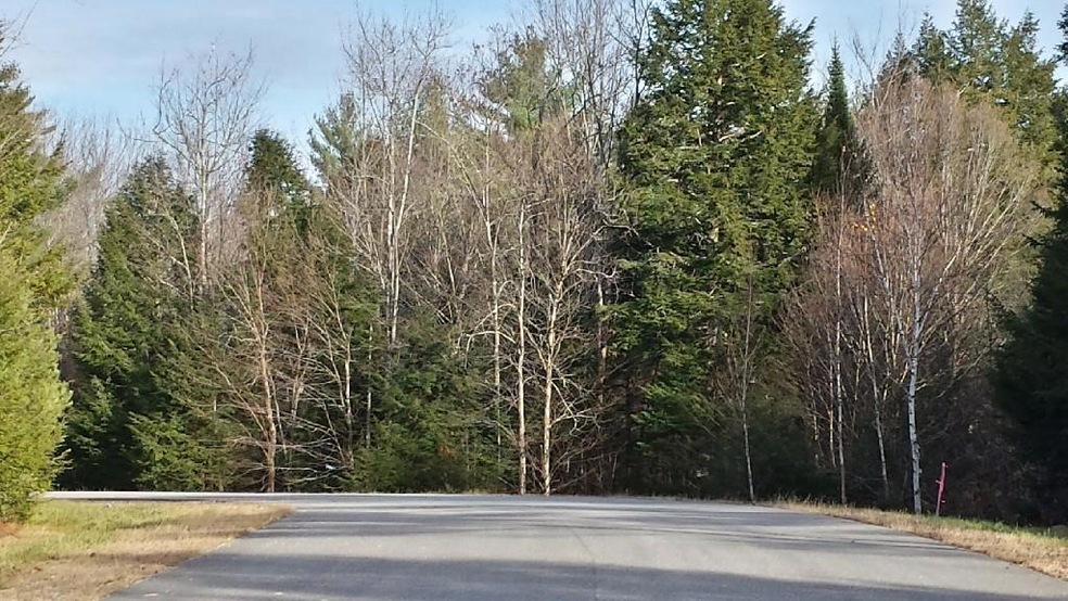 4 Rangdale Rd, Durham, ME 04222 - photo 1