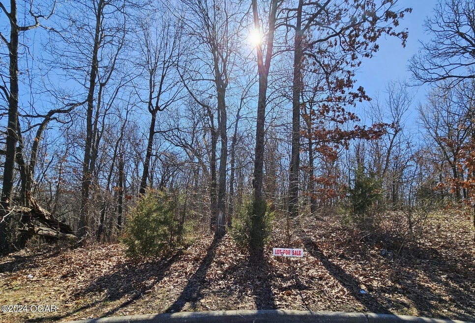 Lot12