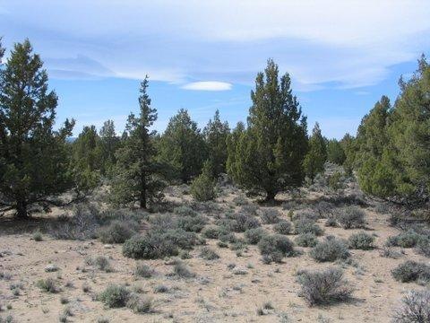 8 Drover Way, Bend, OR 97702 - photo 1