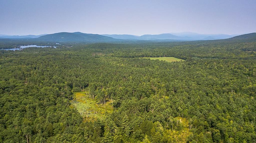 This view is across the property roughly in a Nort