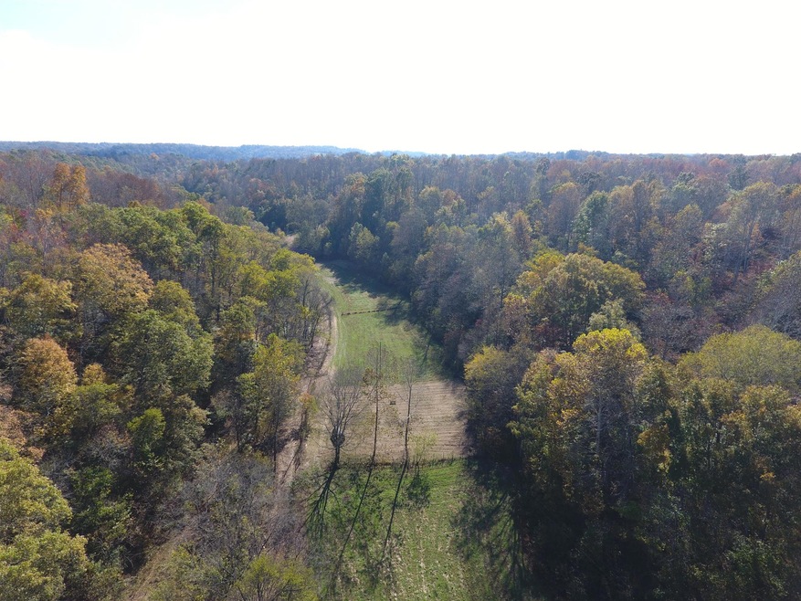 Welcome to a beautiful 40 acre farm located in Fly, TN. 15 min from Leipers Fork and Natchez Trace Prkwy