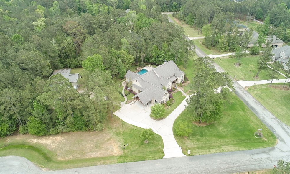 29512 Timber Village Ct, Magnolia, TX 77355 - photo 1