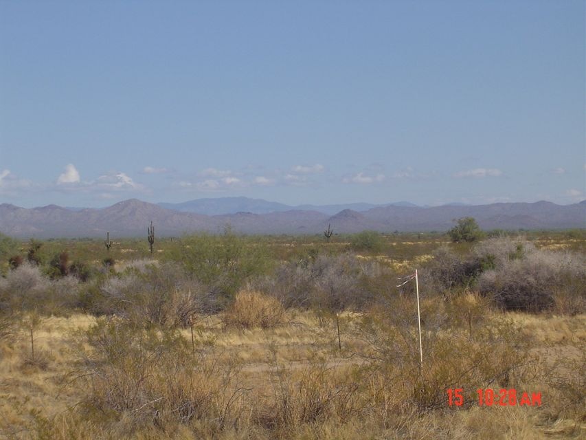 desert views