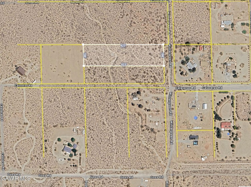 11420 Wintergreen Rd, Piñon Hills, CA 92372 - photo 1