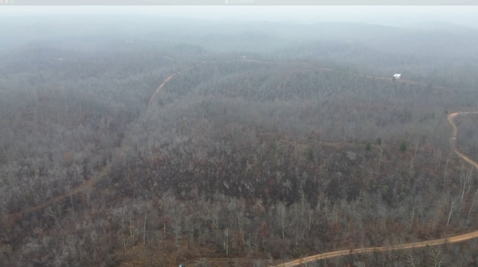 0 Rolling Hills Rd unit RTC3061232, Lobelville, TN 37097 - photo 1