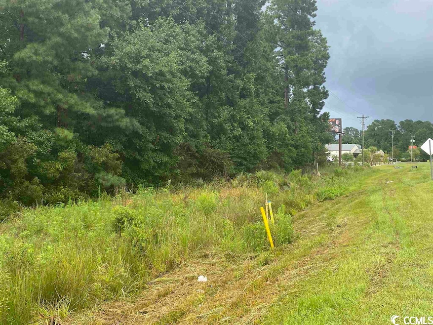 2626 Highway 378, Conway, SC 29527 - photo 1