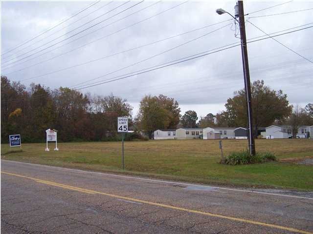 Primary Photo