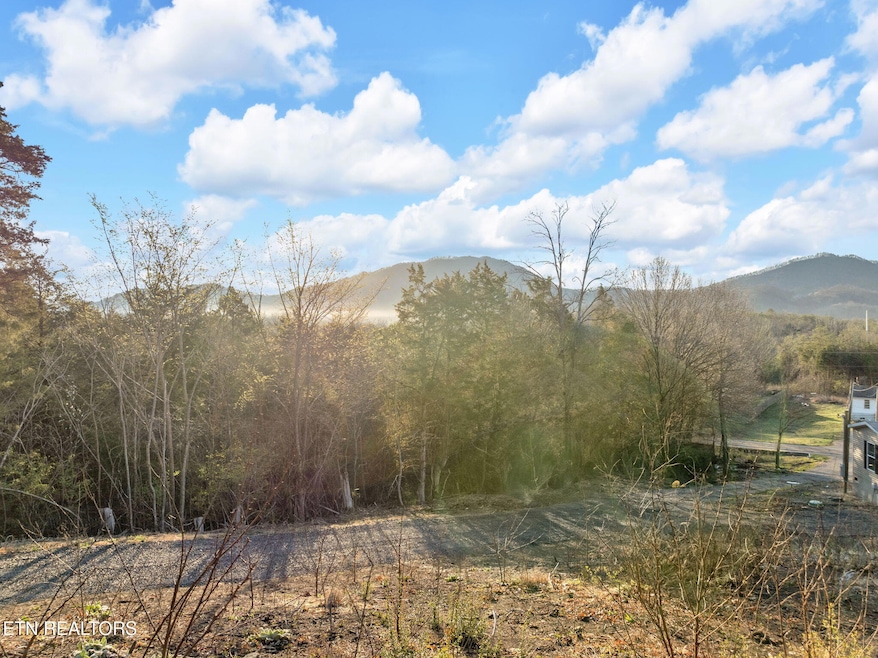 17-web-or-mls-JH 20250321-049