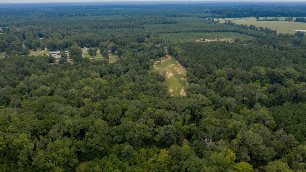 Drone / aerial view of a heavily wooded area