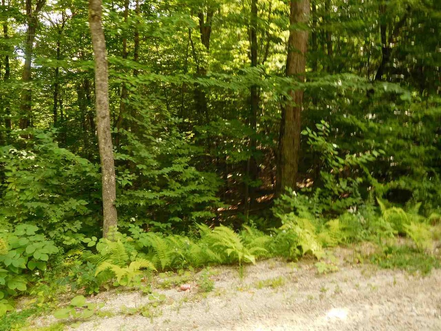 711 Webster Mills Rd, Pittsfield, NH 03263 - photo 1