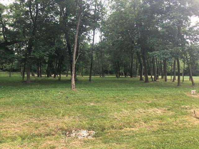 Bluebird lot 3