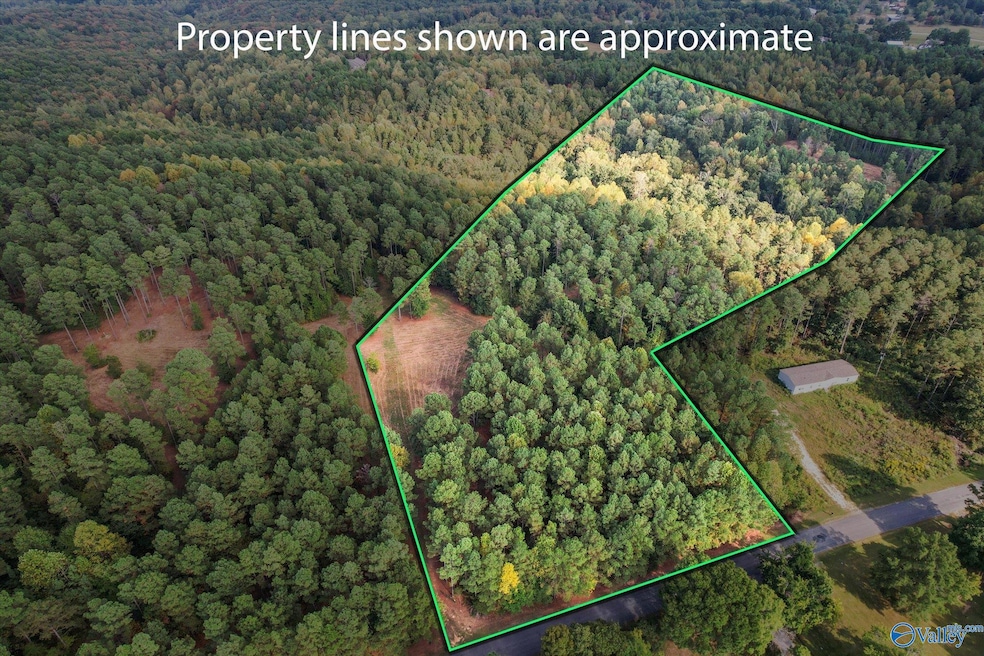 8.9 Acres Davis Gap Rd, Vinemont, AL 35179 - photo 1
