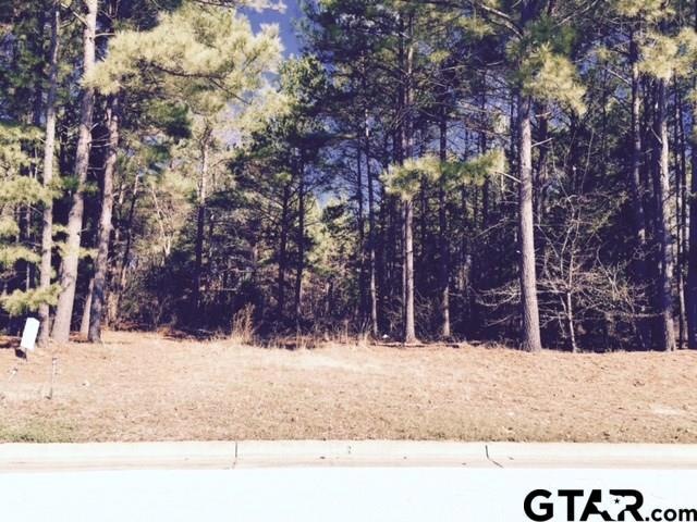 6082 Graemont Blvd, Tyler, TX 75703 - photo 1