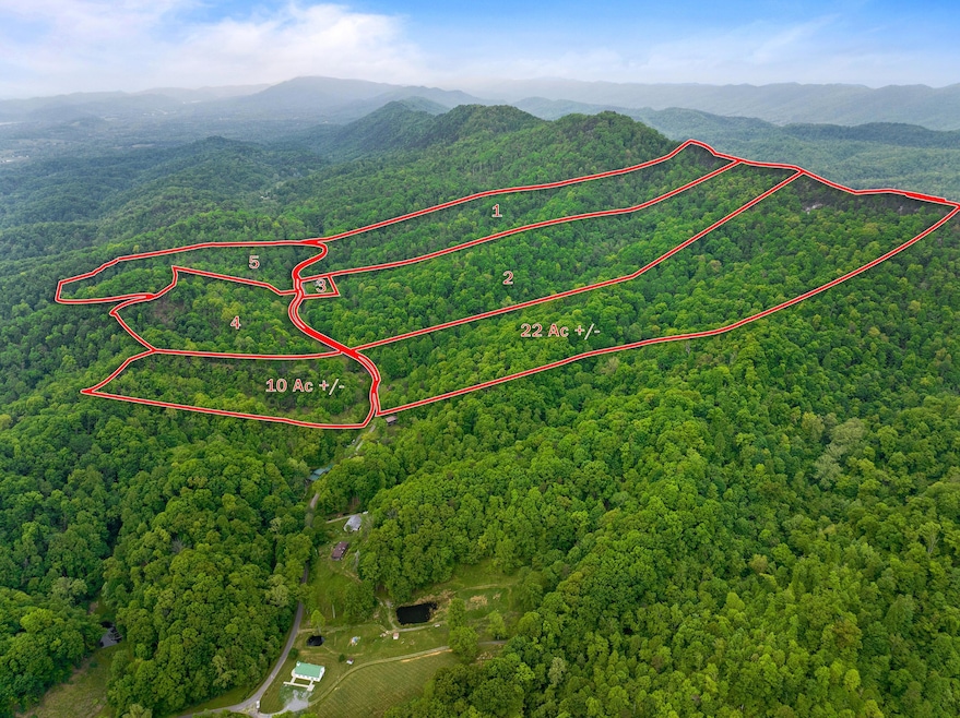 Tract 1 Sandy Valley Rd, Rogersville, TN 37857 - photo 1