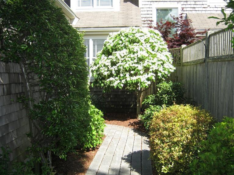 27 Blueberry Path unit K*, Yarmouth Port, MA 02675 - photo 1